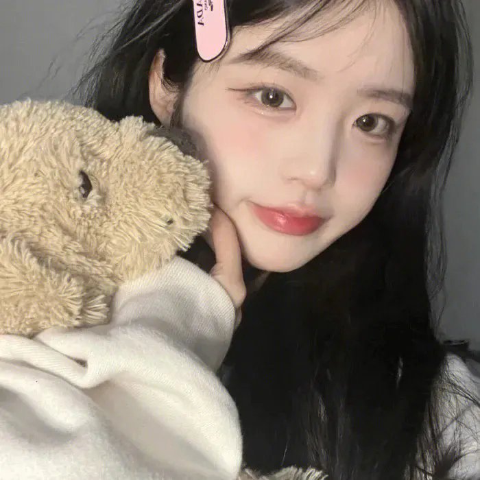 狗的生涯